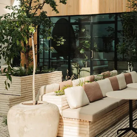 Puro Stare ワルシャワ